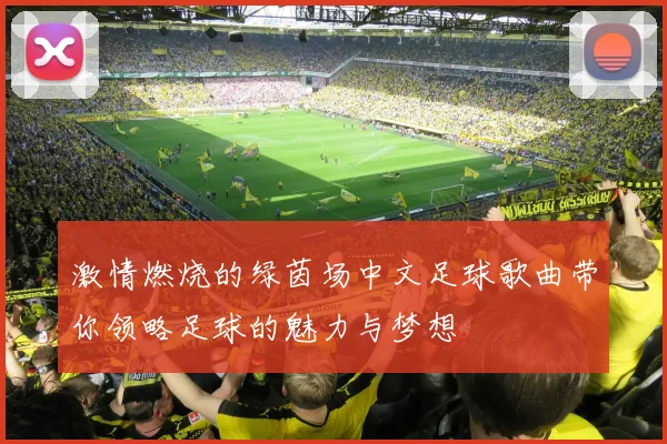 激情燃烧的绿茵场中文足球歌曲带你领略足球的魅力与梦想
