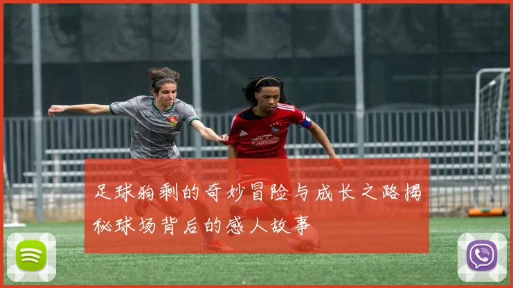 足球狗剩的奇妙冒险与成长之路揭秘球场背后的感人故事