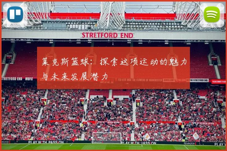 莱克斯篮球：探索这项运动的魅力与未来发展潜力