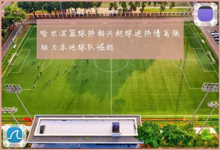 哈尔滨篮球热潮兴起球迷热情高涨助力本地球队崛起