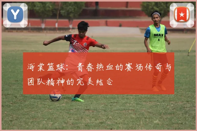 海棠篮球：青春热血的赛场传奇与团队精神的完美结合