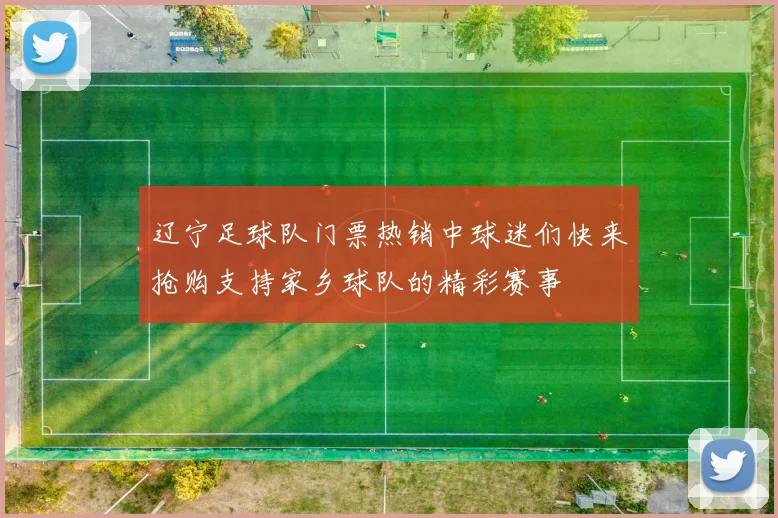 辽宁足球队门票热销中球迷们快来抢购支持家乡球队的精彩赛事