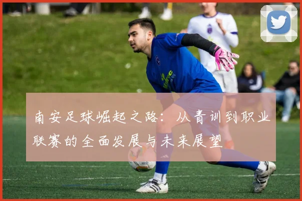 南安足球崛起之路：从青训到职业联赛的全面发展与未来展望