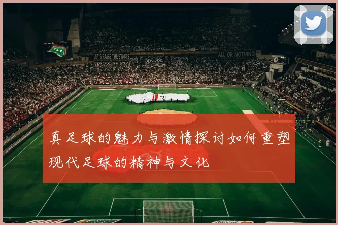 真足球的魅力与激情探讨如何重塑现代足球的精神与文化